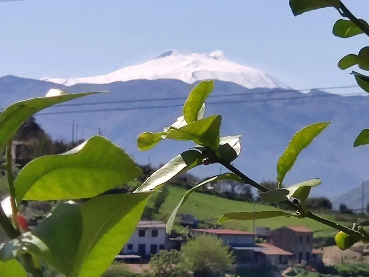 Holiday home La Fattoria Villa Naso